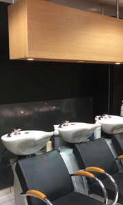 Le Salon