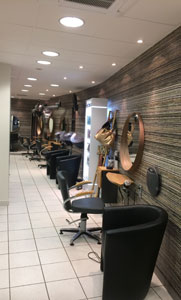 Le Salon